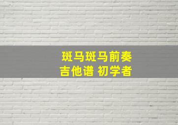 斑马斑马前奏吉他谱 初学者